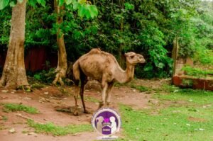 WhatsApp Image 2025-10-21 at 7.22.10 PM