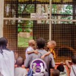 WhatsApp Image 2025-10-21 at 7.22.26 PM