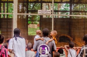 WhatsApp Image 2025-10-21 at 7.22.26 PM